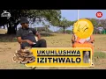 Download Lagu Sengikhathele ukukhothwa inkomo inyoka yesithwalo sikaMnewethu | UKUHLUSHWA IZITHWALO