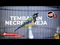 Lagu 🔴Masteran Necret Gereja Tarung Mix Kapas Tembak❗️Cucak Cungkok Jantan Gacor Terbaru