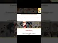 Download Lagu Hikaru Nara (Genshin Impact x Your Lie in April)