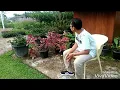 Download Lagu YA MAULANA VERSI COWOK
