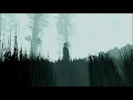 White Noiz - Silent Hill 2 with rain slowed down
