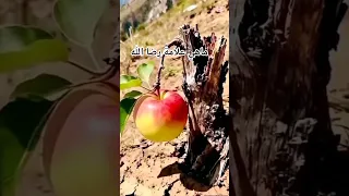 من علامة رضا الله عز وجل عن العبد قد تظهر فيك ولا تعلمها 