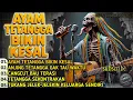 Download Lagu LAGU  REGGAE ROCK SINDIRAN PEDAS | \