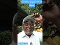 Download Lagu kartoy dava 🙏🙏#jay bhim song 🙏🙏#viral shorts video 🙏🙏