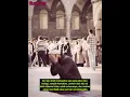 Download Lagu Syair yang membuat Imam Ahmad menaangis 😭 || #shorts