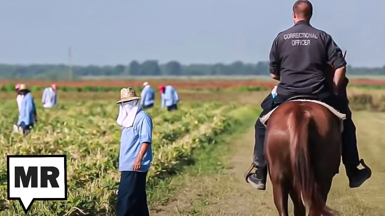 Your Food Via Prison Labor | Margie Mason & Robin McDowell | TMR