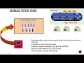 023 Oracle DBA Complete Tutorial - Keep Buffer Pool