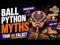 Ball Python Myths How Many Do You Believe