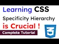 What is CSS Specificity Hierarchy Web Design Tutorial for Beginners
