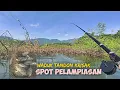 Lagu WADUK TANDON KRISAK IKAN MAKAN‼️SPOT PELAMPIASAN MU BOLO 😁 #mancing #fishing #fish