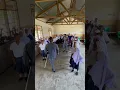 Download Lagu TAZAMA VIBE LA TEACHER YUFRESH PAMOJA NA MWALIMU YUSUPH PANGOMA NDANI YA S/M VICTORIA KINONDONI DAR🥰