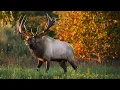 Apply NOW for the 2023 Virginia Elk Hunt Lottery