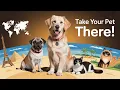 The Best Pet Friendly Travel Destinations Revealed