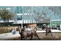 University of South Florida Tampa - 5 Things You Must Do On Campus