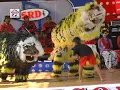 Barong Ogo-Ogo Surya Buana - Macan VS Barong Sai [OFFICIAL]