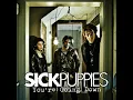 Sick Puppies - You're Going Down 432hz
