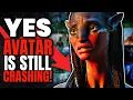 Download Lagu Yes, Avatar Is Still CRASHING at the Box Office: Movie Media SPIN James Cameron's Collapse MP3