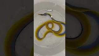 This Fish Was Featured In A Game 