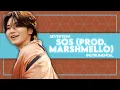 Download Lagu SEVENTEEN - SOS (Prod. Marshmello) (Instrumental)