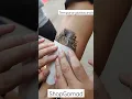 Download Lagu Waterproof Temporary Tattoo only at temporarytattoo.india on Instagram