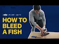 How to Bleed a Fish Ike Jime How To