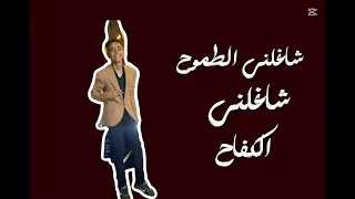 هيا مش بالمجهود ده توفيق ربنا دندنها