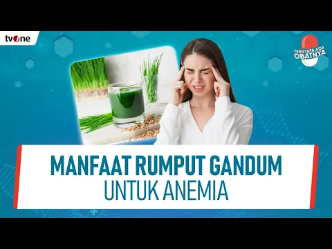 Ini yang dirasakan Jika Mengonsumsi Rumput Gandum, Bisa Atasi Anemia