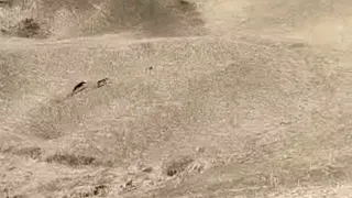 شوف لمليح لي مكيخلهاش تشد الحيط رجعوها فين كانت ناعسة  شوف لمليح لي مكيخلهاش تشد الحيط رجعوها فين كانت ناعسة