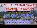 Download Lagu Di jual lhan kebun murah luas tanah 760 m surat AJB harga Rp 160 jt nego ke no wa 082123981988