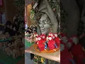 Rainforest cafe Malta