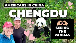 终于在成都看到了大熊猫，还探索了这座城市