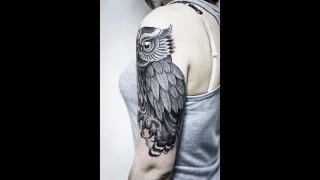 Best owl tattoo designs for women and guys
