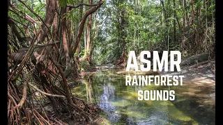 Download ASMR Bunyi Air Terjun,Hujan Deras,Aliran Sungai MP3