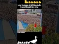 Download Lagu How do I get all my ducks in a row #genx #stressmanagement #stress #monday #ducks #timemanagement
