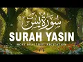 Download Lagu Surah Yaseen سورة يس | Soothing \u0026 Beautiful Recitation for Inner Peace by Alaa Aqel Quran for Sleep
