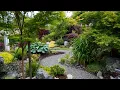 Luscious Gig Harbor Garden
