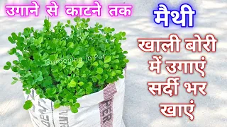 बोरी में मेथी उगाने से लेकर काटने तक जानकारी | Methi Kaise Ugaye | Methi Ugane Ka Tarika