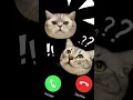 Download Lagu MI TELEPON SOUND EFFECT #shortvideo #shorts episode 03