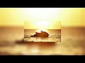 RAF Camora & Bonez MC - Sommer (slowed+reverb)