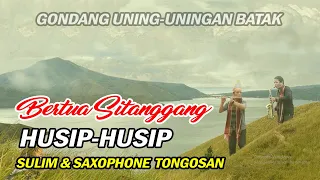 Download GONDANG HUSIP HUSIP  BERTUA SITANGGANG SULIM TONGOSAN MP3