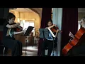 Download Lagu Asia Ahmetjanova - Streichtrio \