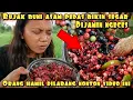 Download Lagu RUJAK BUAH BUNI BIKIN MEREM MELEK