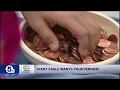 Giant Eagle offers double gift card rewards during Penny Exchange Day