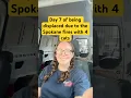 day 7 of being displaced by the Spokane fires with 4 cats moving hotels