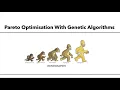 Intro Into Multi Objective Optimization