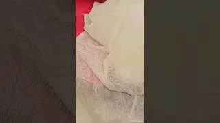 زفة جينا وجينا نادية محمد دندنها