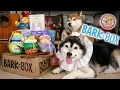 Unboxing the April 2019 BarkBox The Shiblings