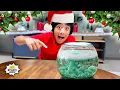 Top 3 Holiday Christmas Science Experiments for kids with Ryan s World