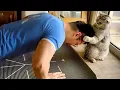 Download Lagu Cats Are So Smart It Blows Your Mind 🤯