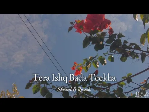 Download MP3 Tera Ishq Bada Teekha [Slowed + Reverb] | Javed Ali and Shreya Ghoshal |11Lofi